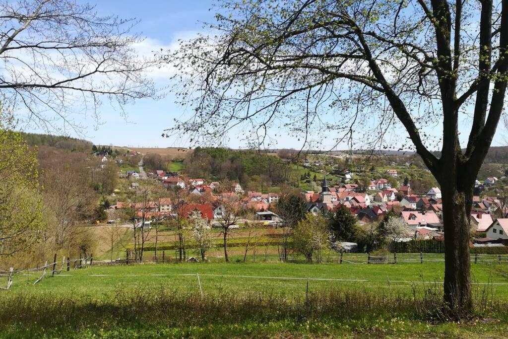 Ferienhaus Zum Kuckuck, Wng 2, Urlaub Im Eichsfeld Kallmerode Экстерьер фото