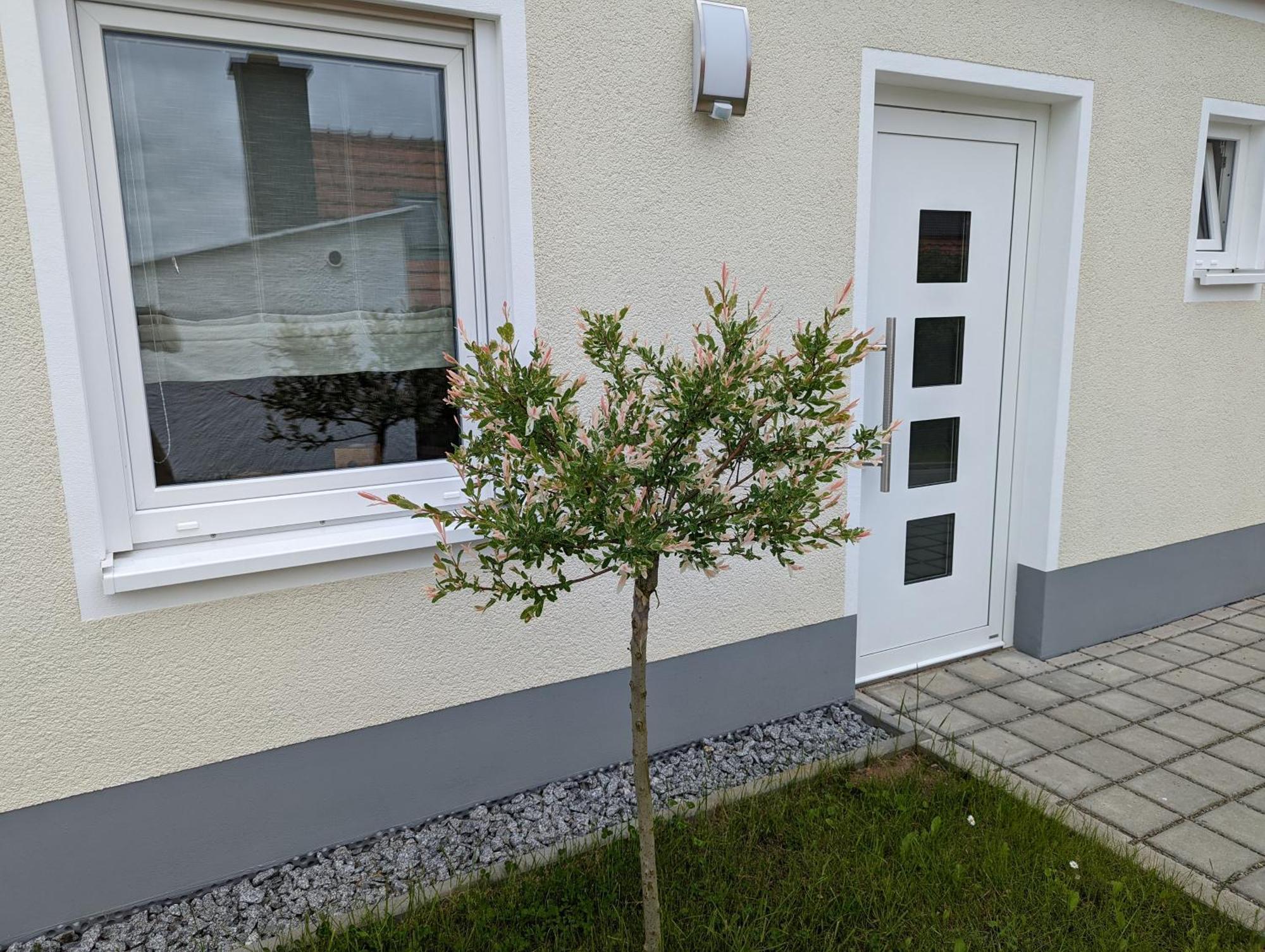 Ferienhaus Zum Kuckuck, Wng 2, Urlaub Im Eichsfeld Kallmerode Экстерьер фото