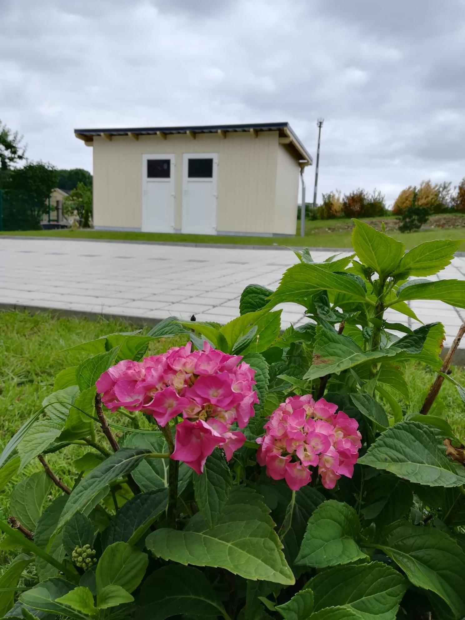 Ferienhaus Zum Kuckuck, Wng 2, Urlaub Im Eichsfeld Kallmerode Экстерьер фото